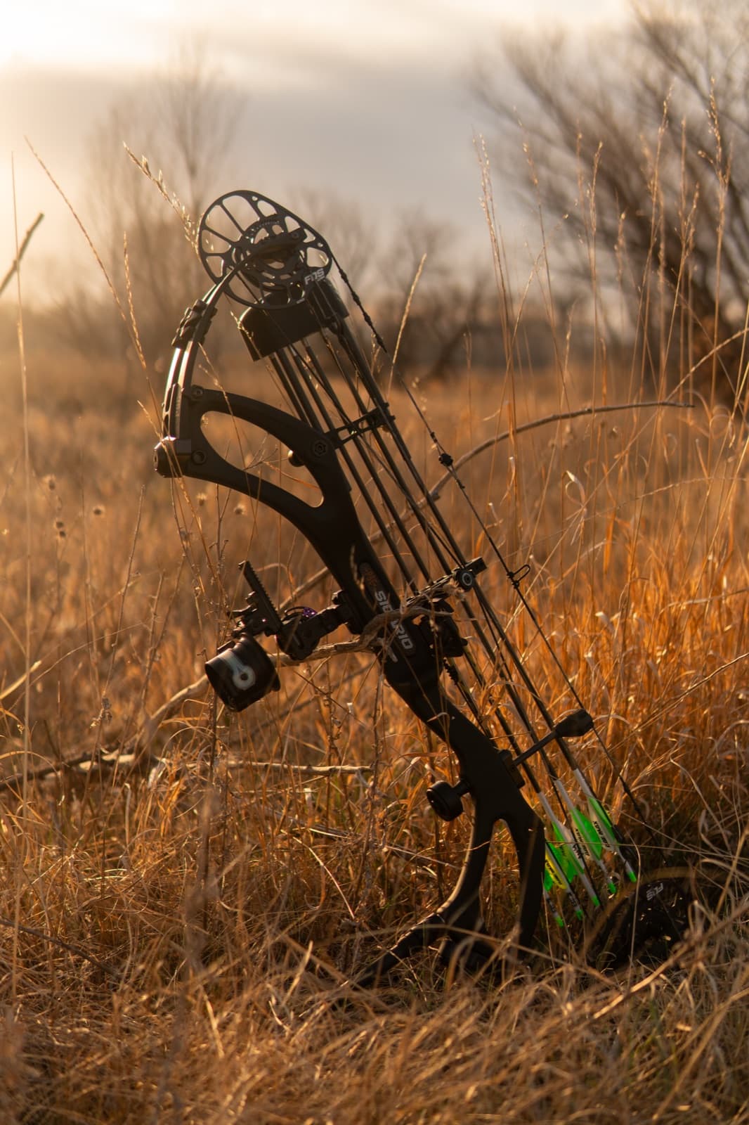 Compound bow staged in the grass at golden hour
